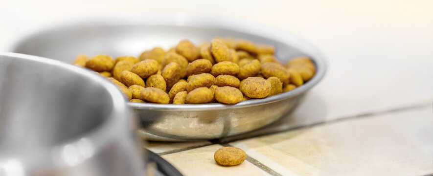 Closeup pet food in stainless bowl