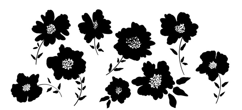 Spring flowers hand drawn vector set. Black brush flower silhouettes. Roses, peonies, chrysanthemums isolated cliparts.