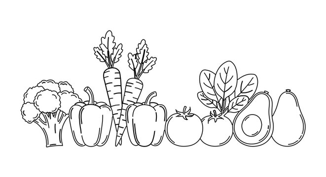 Assortment of fresh vegetables line art drawing