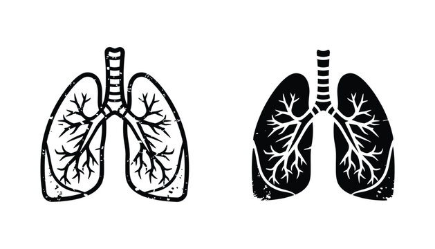 Human lung anatomy outline and silhouette icons for medical research and respiratory health education