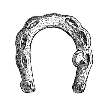 Celtic Horseshoe, Vintage Farrier Illustration, Old Vintage Illustration, 1889.