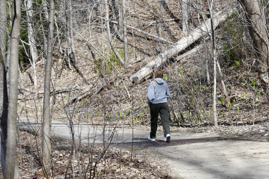 une femme seule marche dans la for&ecirc;t au printemps, Qu&eacute;bec, Canada.