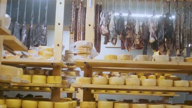 Cheese wheels aging on wooden shelves in cheese cellar with hanging cured meats and sausages in traditional deli. Dairy storage room on small cheese farm. Food production process