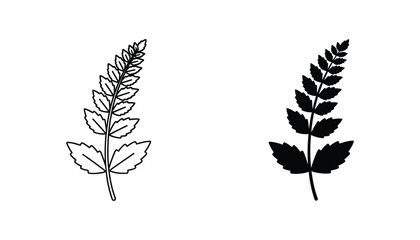 Detailed fern leaf botanical icon set in outline and solid black silhouette styles for nature ecology and plant life concepts isolated on white background © Creative Assets