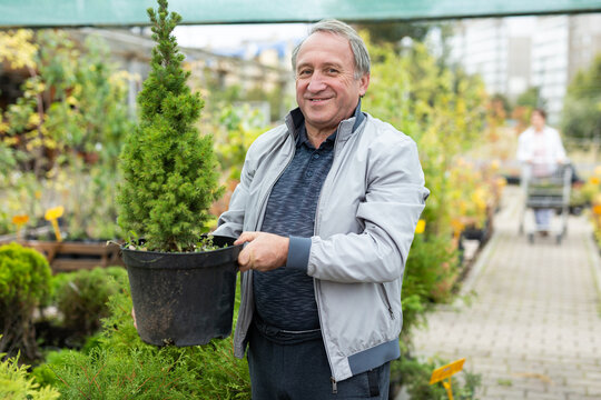 elderly customer purchases plants at an open market