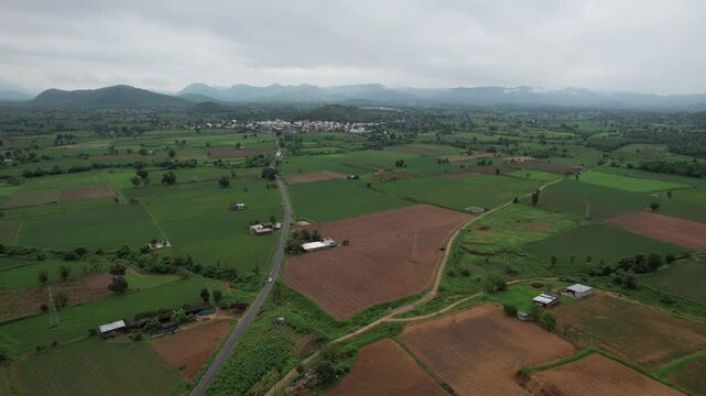 Gren field and sky view video