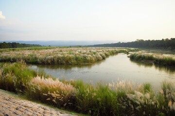 Obraz premium Golden hour landscape of Rapti River and grassland in Chitwan Nepal