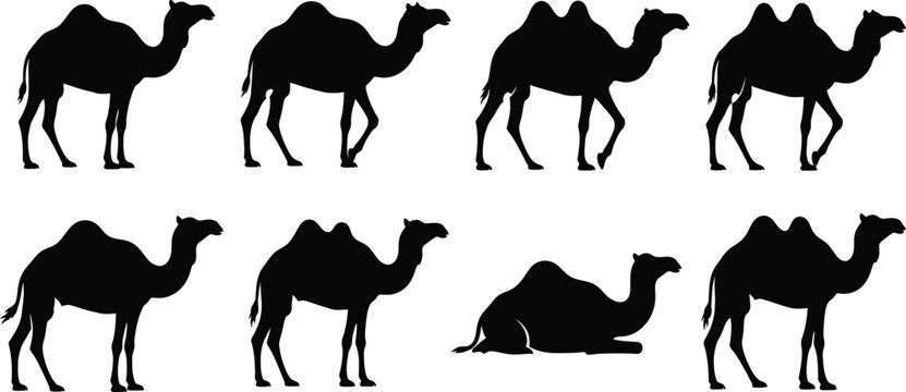 Camel silhouettes a collection of desert animal forms in black and white