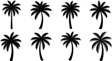 Fototapeta premium Tropical palm tree silhouettes a collection of eight black palm trees