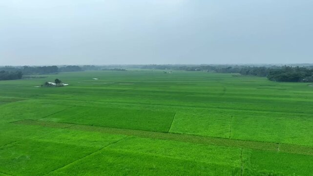 Gren field and sky view video