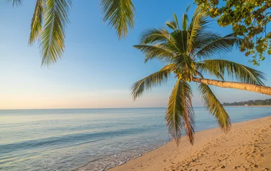 Summer Paradise. Tropical sand beach background with coconut palm trees. © javarman