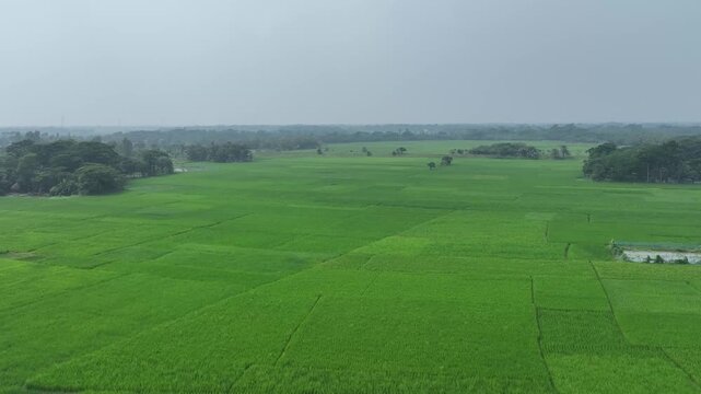 Gren field and sky view video