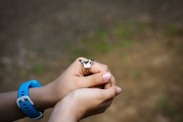 Small Black and White Butterfly Resting Gently on a Child's Hand © Nick