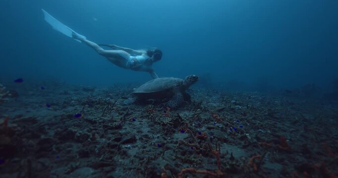 Woman glides on the deep with green sea turtle in tropical blue sea