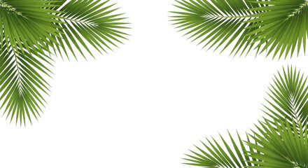 Fototapeta premium Tropical Palm Leaves Frame Border on White Background Minimal Green Nature Design
