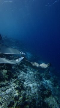 Female freediver gliding underwater in ocean. Attractive woman freediving on deep