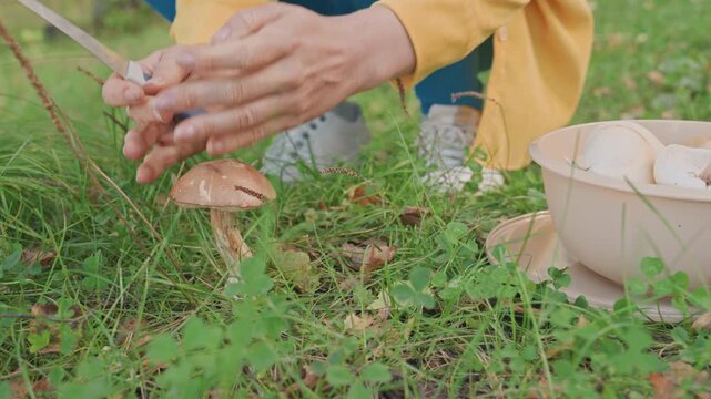 Smiling woman holds mushroom near camera female camper inspects edible bolete while seated on grassy forest floor in yellow jacket, bowl of finds beside her, candid lifestyle foraging moment