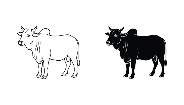 Brahmin bull farm animal icon set in clean black and white line art and solid silhouette style for agriculture branding