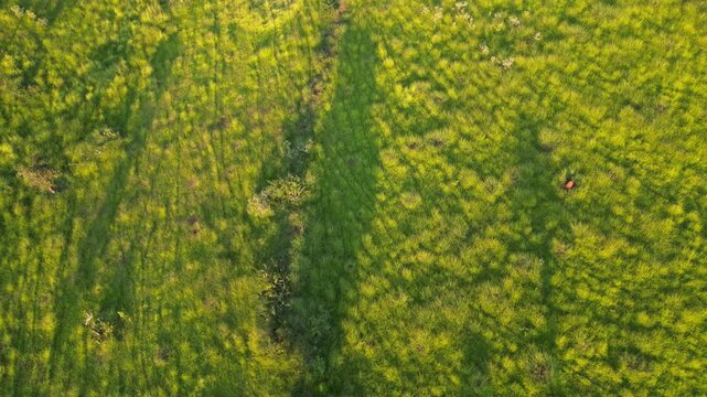 Imagens Montanhas Casa Branca Minas Gerais Serra