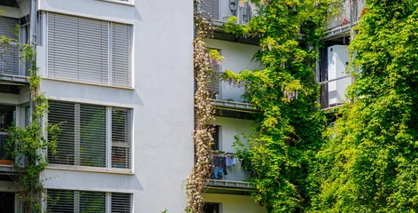 Green plants climbing on a building in an urban area during daytime with sunlight shining © Fleuronica