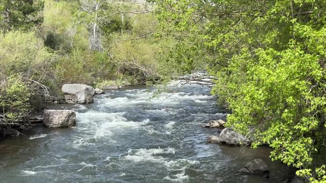 Water flowing in the Provo River in springtime. Provo, Utah, USA 