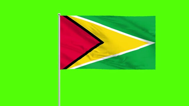 Guyana Flag Flying High: The national flag of Guyana waves proudly against a verdant backdrop, symbolizing the nation's identity and heritage.