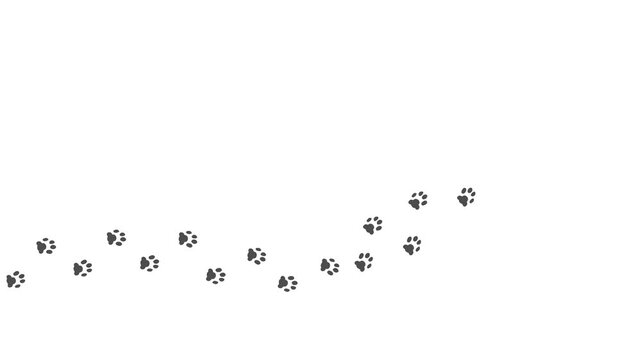 Animation of the gray silhouette of the footprints of a pets.  Cartoon funny kitty print along the path. Trajectories that follow the path of movement. Animation of Kitty paw prints on a white backgro