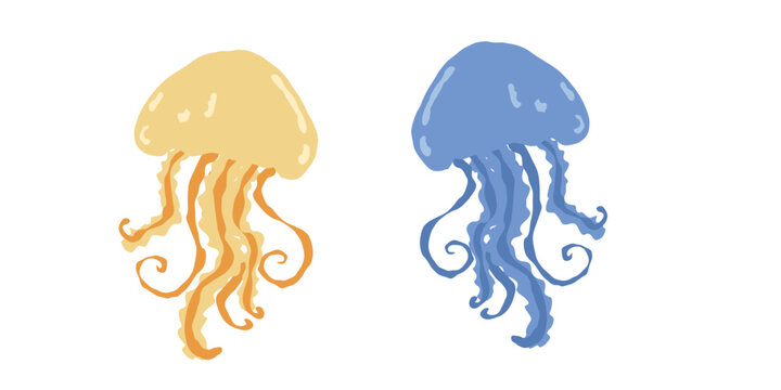 Two jellyfish vector elements in blue and yellow colors with long tentacles in hand drawn doodle style for marine and ocean design