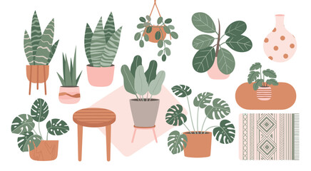 Collection of potted houseplants and home decor in a flat style potted plants snake plant monstera ficus © MadhobiRani