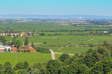 Obraz premium Vineyards spread across the landscape near a small town on a clear day with distant mountains and cities visible