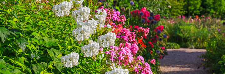Obraz premium Colorful flowers line a garden path in a sunny park during the afternoon