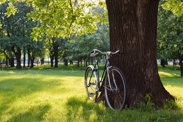 Fototapeta premium Bicycle Resting Under Green Trees in a Park in Summer