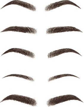 Brows beauty icon vector illustration
