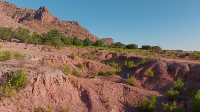 Aerial view of eroded red rock terrain with scattered green shrubs and trees in the Sierra Madre Occidental mountain range. Dramatic cliffs rise against clear blue sky in Durango, Mexico.