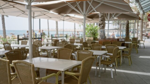 Seaside cafe terrace with wicker tables, umbrellas and palm trees in soft blurred focus on a beach promenade; background backdrop copyspace calm.