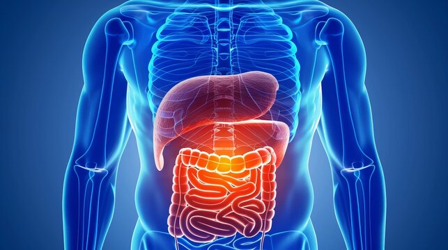 Close up of fatty liver disease  insights on diagnosis, treatment, and health implications
