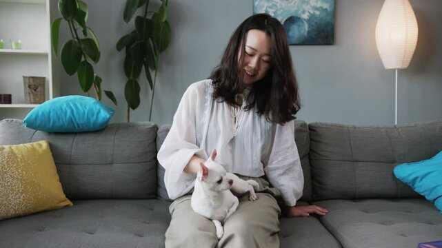 Smiling young dazzing girl wearing elegant clothes petting little white charmer. Sofa with colored pillows. Beautiful Chihuahua. Indoors. Modern apartment. Love, tenderness.