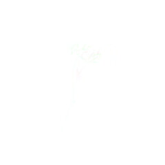 Obraz premium Soft light fog overlay isolated transparent background subtle mist effect