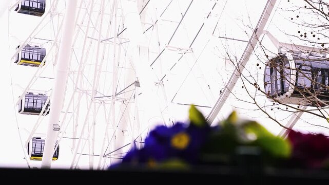 Modernes Riesenrad mit Glasgondeln und Sch&auml;rfenverlagerung zwischen Blumen und Fahrgesch&auml;ft