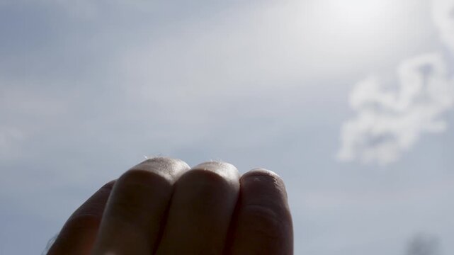 hand reaching to sky with clouds for freedom concept with sunlight and open air background