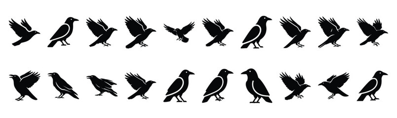 Fototapeta premium Collection of crow silhouette design element art. Happy Halloween Vector silhouette icons.
