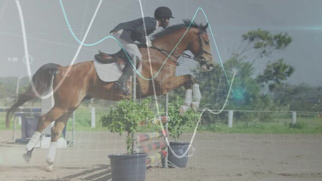 Male rider cueing horse, launching over rail for sports training with data overlay tracking motion