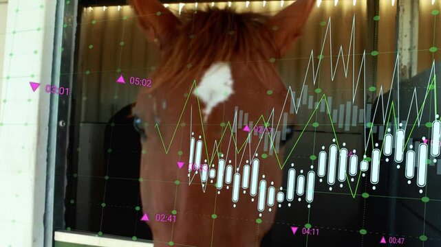 Data overlay showing at stall window drawing brown horse approaching, sniffing cam, retreating