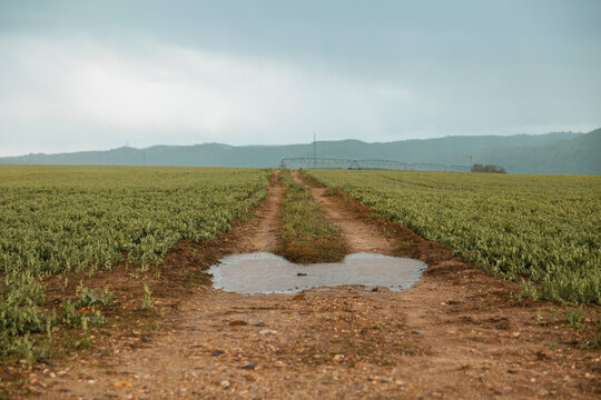 Rural farm field with irrigation and muddy track after rain