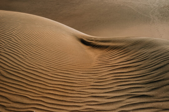 Wind-sculpted sand dune texture with curved ripples