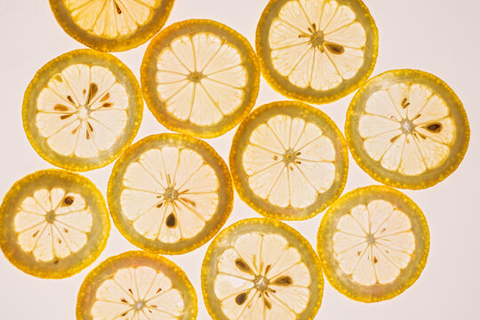 Citrus fruit slices pattern on bright white background