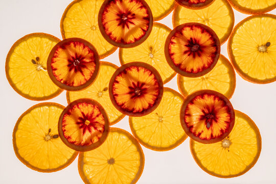 Citrus slice background with orange and blood orange