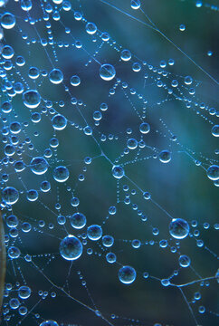 Abstract film background with water droplets on web