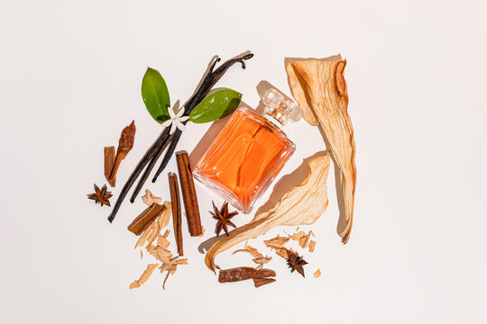 Fragrance with vanilla and warm spice elements