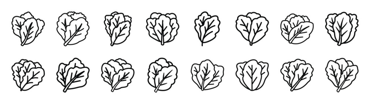 lettuce leaf fast food silhouette icon set